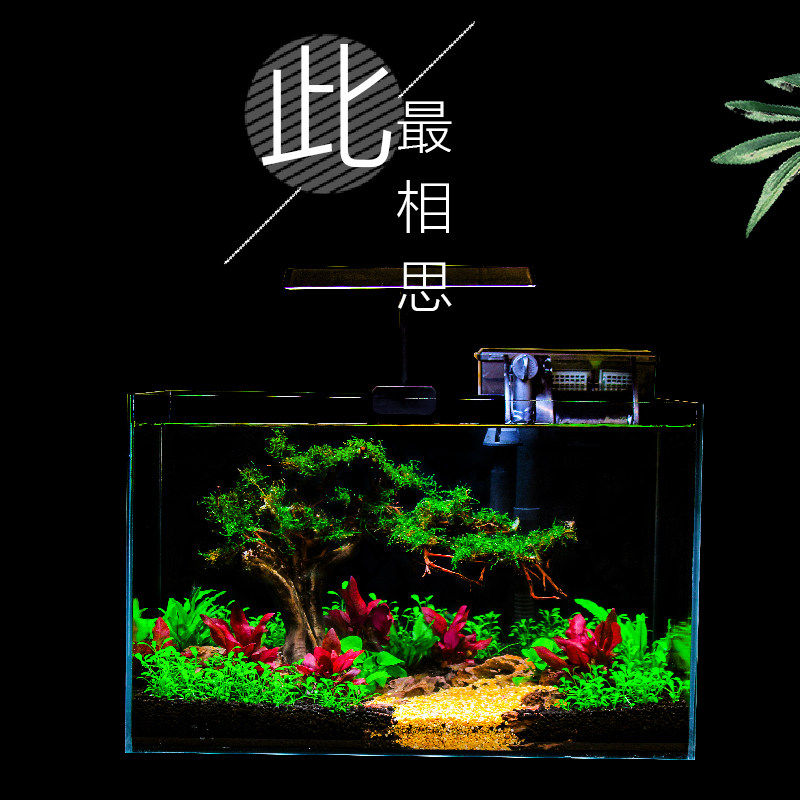 鱼缸造景全套超白玻璃缸客厅小型桌面迷你金鱼缸免换水生态草缸