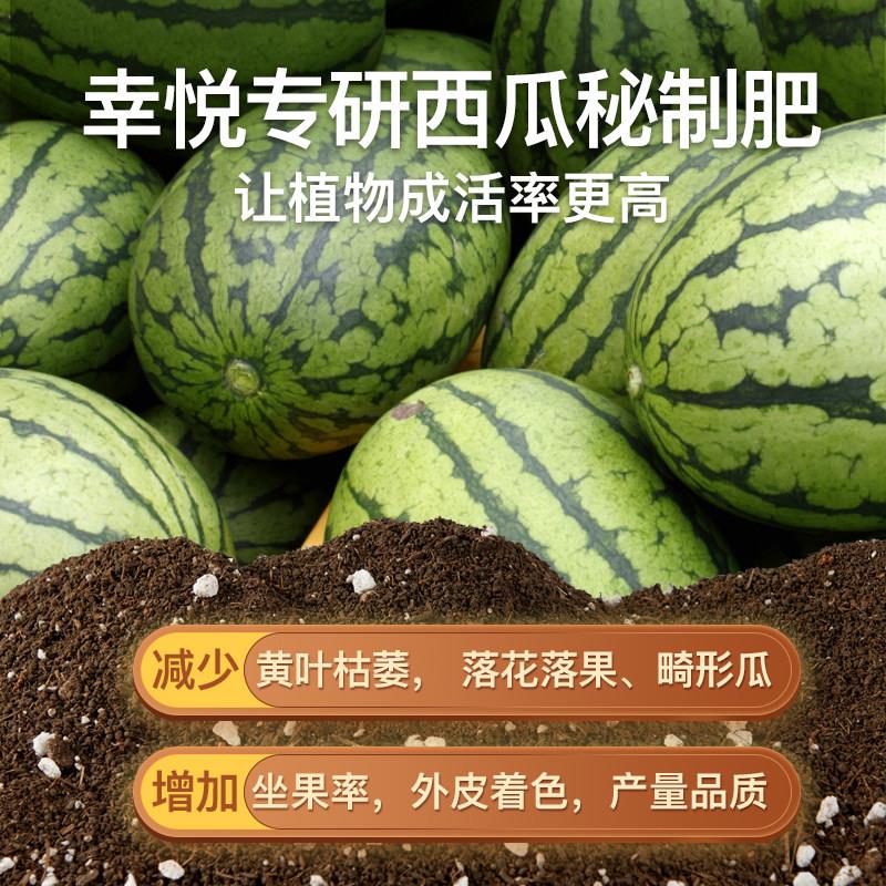 种西瓜育苗专用营养土基质肥培养土西瓜苗土壤专用肥料泥土种植土