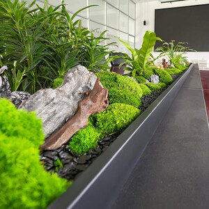 会议桌中间微景观摆件长桌苔藓绿植造景桌面装饰假花摆设/美空203