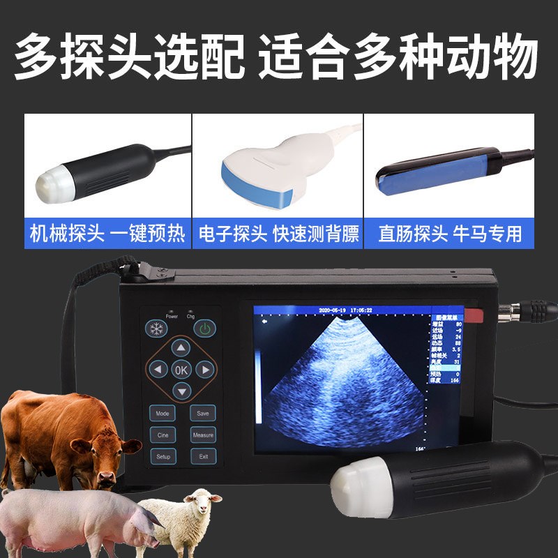 兽用b超机便携牛羊用犬猫超声波母猪用b超机测孕仪宠物怀孕B超仪