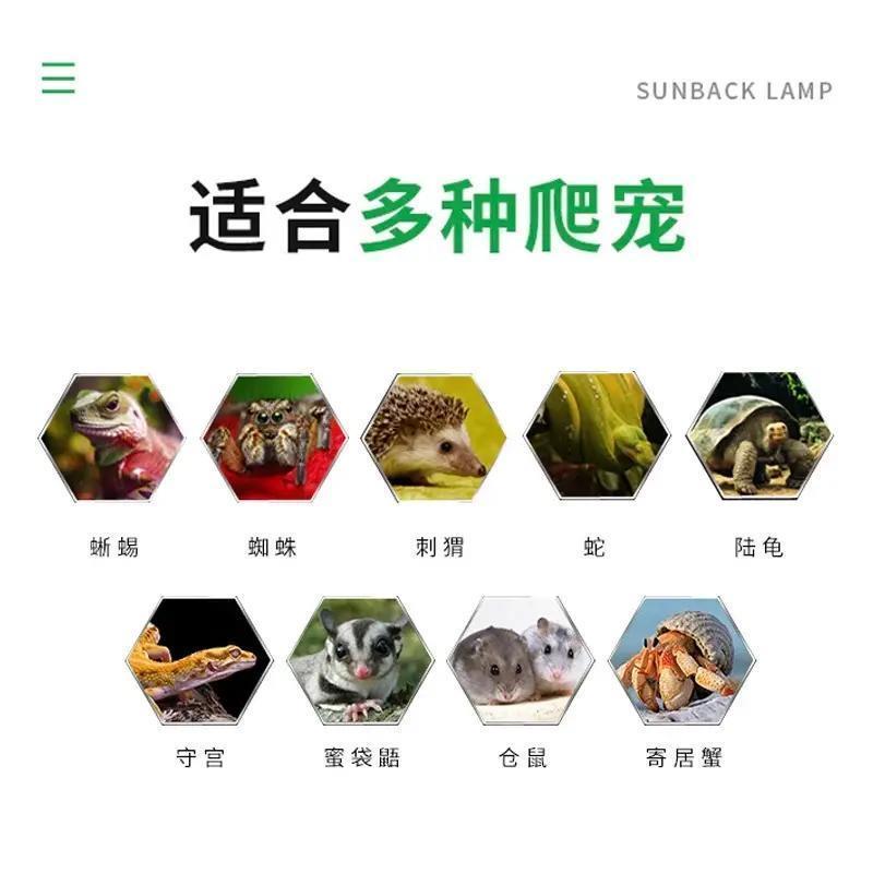 爬宠恒温箱乌龟过冬眠保温箱守宫饲养盒鬃狮蜥蜴宠物角蛙爬虫动物
