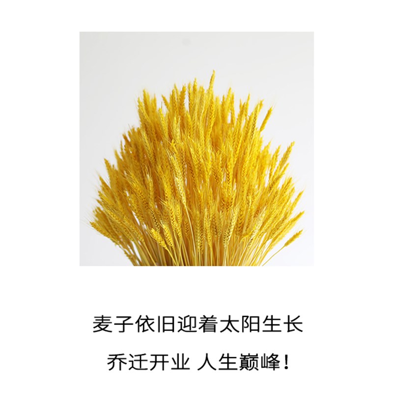 超级好麦天然大麦开业花篮花盒花束乔迁开工送花北欧ins干花