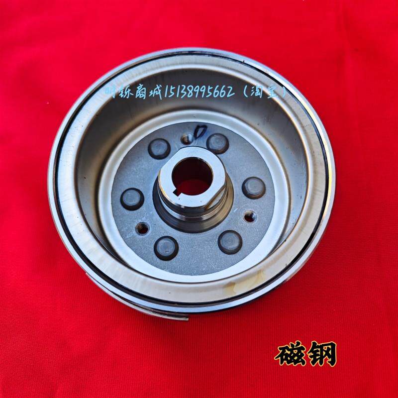 适用轻骑铃木丽彩QS125T-2韵彩QS100T磁电机定子点火线圈磁钢转子
