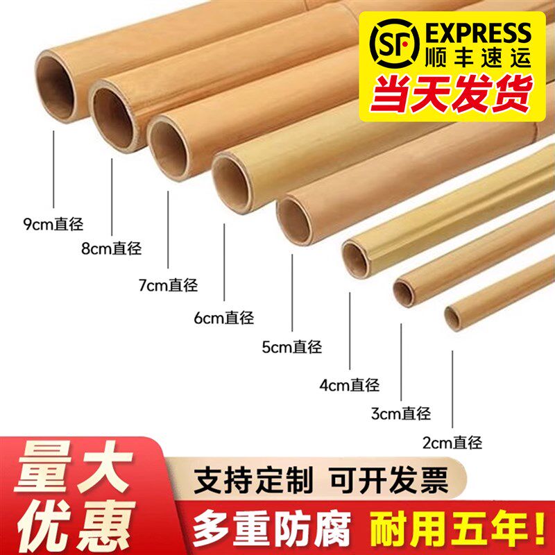 竹竿菜园搭架竹杆蔬菜黄瓜番茄豆角葡萄架杆竹篱笆栅栏小竹子
