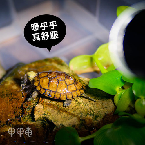 爬虫加热灯乌龟晒背灯龟缸全光谱UVA+UVB3.0太阳灯+灯架套装包邮
