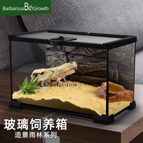 爬宠物蛇玻璃饲养箱角蛙蜘蛛蜥蜴守宫乌龟饲养盒雨林生态缸寄居蟹