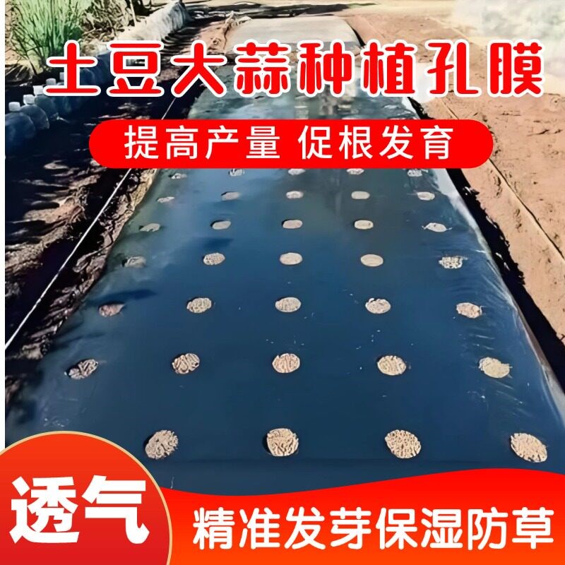 打孔黑地膜农用带孔有孔银黑地膜防草种菜种植辣椒大蒜玉米专用膜