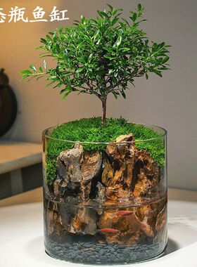 生态瓶微景观生日礼物男生养鱼免打理玻璃鱼缸小型客厅桌面斗鱼