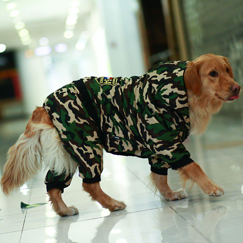 大狗衣服冬季金毛拉布拉多罗威纳卡斯罗中型大型犬宠物服装秋冬装