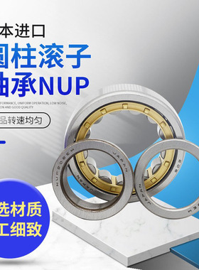 日本进口圆柱轴承N NU NJ RN NUP 1006 1007 1008 1009  EW EM C3