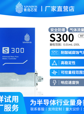 芯笙MFC气体质量流量计数显流量控制器MEMS半导体真空镀膜S300
