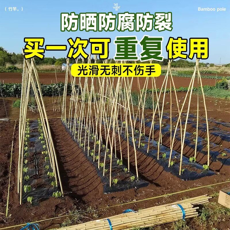 豆角架杆竹竿菜园搭架爬藤架葡萄架小竹子细竹竿篱笆栅栏彩旗杆