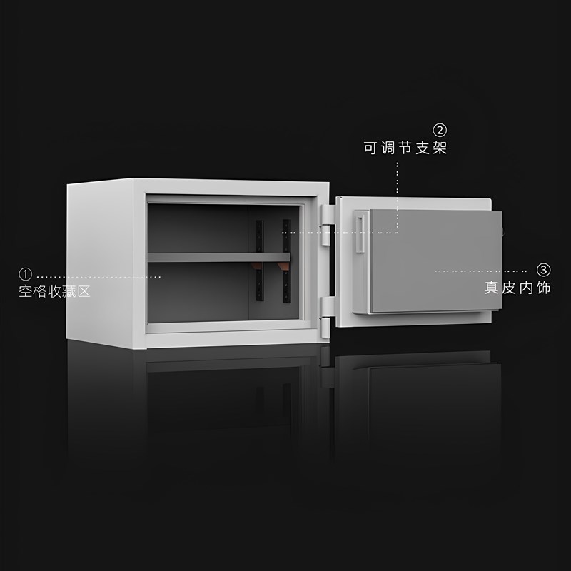 Dutech小型家用保险箱Doj美国和国家标准认证安全防盗嵌入式衣柜