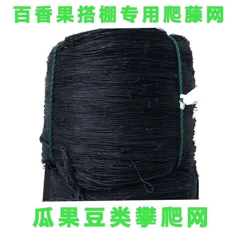 罗汉果棚网百香果搭棚网搭架专用爬藤网棚架子网攀爬网沃柑网瓜果