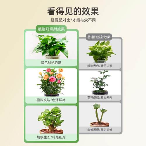 仿太阳全光谱室内led生长灯落地阳台花卉三角梅专用植物补光灯