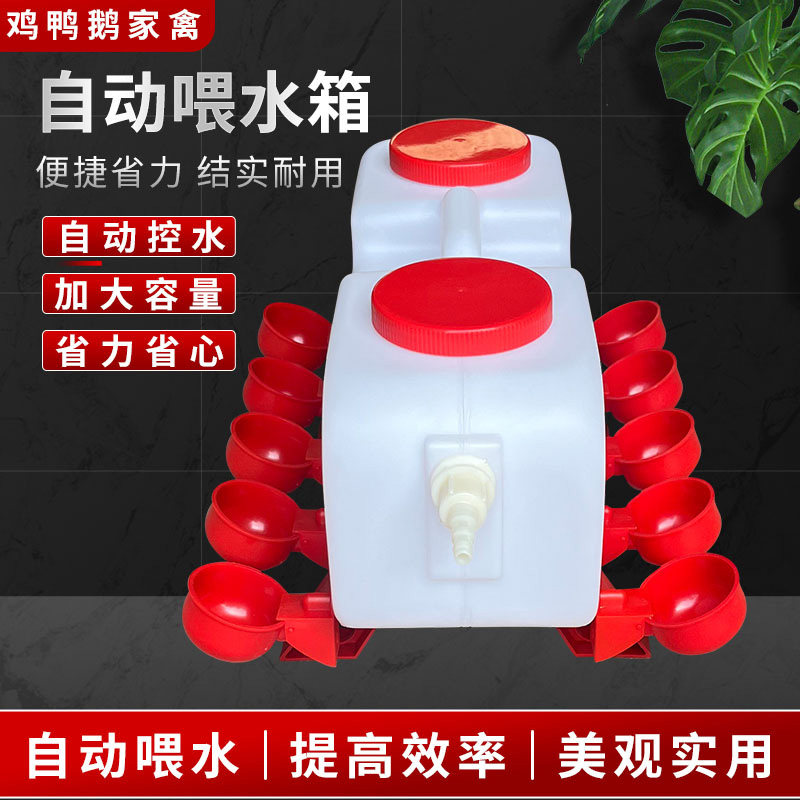 养殖鸡用水槽鸡水桶鸭子饮水器鹅用自动水壶大小鸡水碗鸡用饮水器
