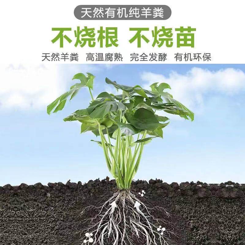 云南发酵纯羊粪有机肥缓释肥颗粒晚香玉嘉兰百合盆栽花苗专用肥料