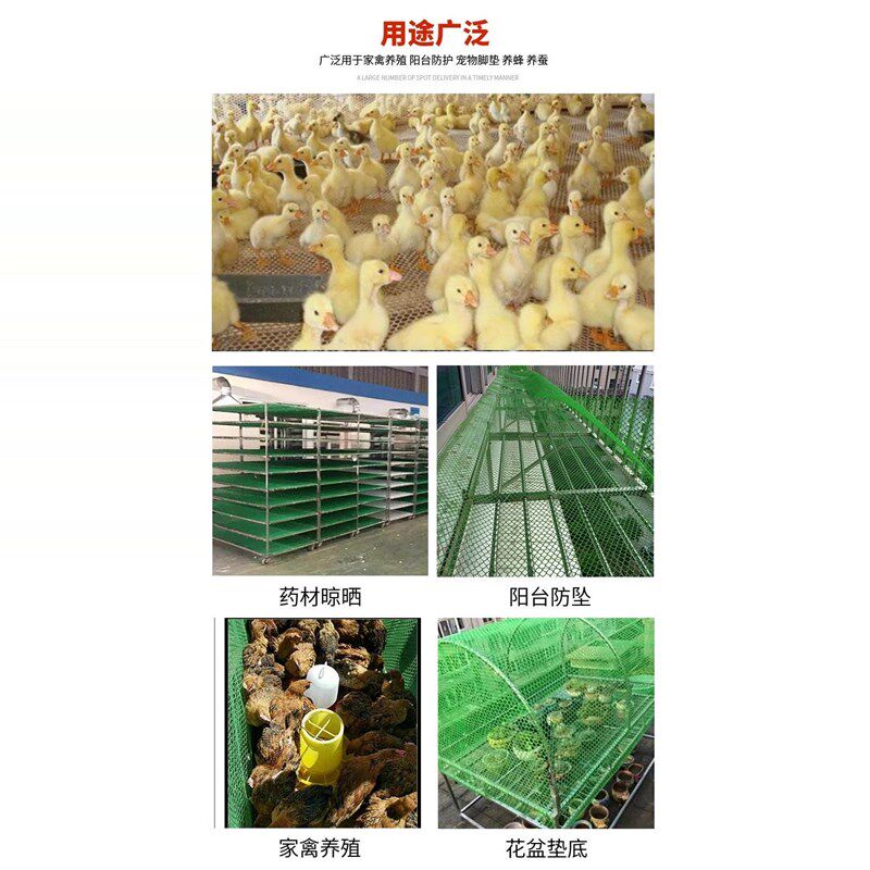 塑料平网养殖网养鸡鸭鹅育雏漏粪围栏网塑料网加厚绿色阳台防护网