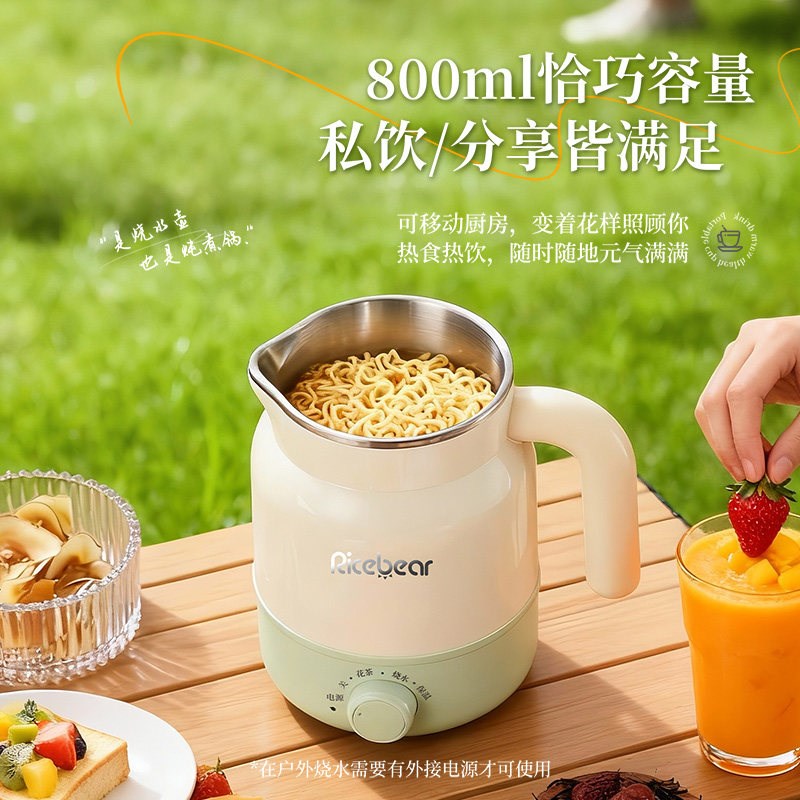 炖煮一体电热杯小型一人用养生壶多功能保温家用办公室宿舍热奶器