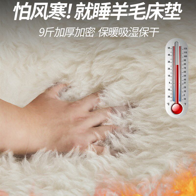 澳洲纯羊毛床垫轻奢家用冬季加厚保暖加长绒被褥子羊羔绒垫子软垫