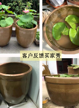 睡莲专用缸盆陶瓷水缸庭院养鱼瓦缸泥缸老式大口种养荷花水莲大缸