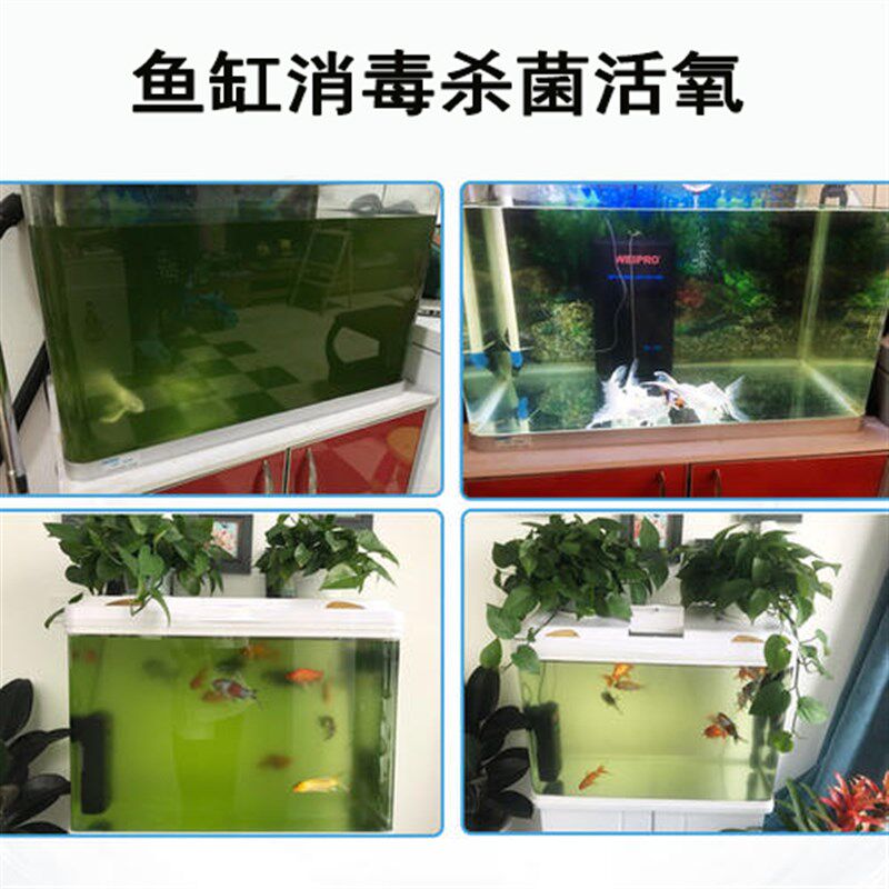 2000mg多功能水族鱼缸消毒杀菌活氧净化水质异味果蔬肉臭氧解毒机