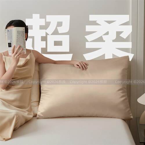 长方形床头大靠枕套天丝冰凉靠垫套65x85cm床上百搭抱枕套60x80
