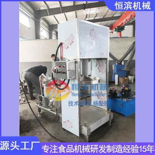 贵州刺梨榨汁机源头厂家物理压榨苹果果蔬渣提取压滤机