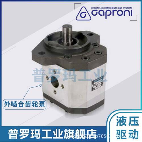 卡罗尼Caproni齿WQP轮泵020A(C)4.5/普8.2/1219//22/25X07液压泵