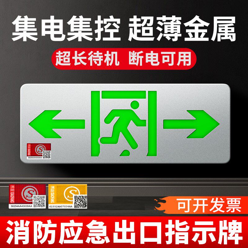 消防应急疏散照明灯联动应急照明集中电源控制器壁挂悬挂埋地灯牌