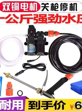 德国进口12v洗车水泵 车载洗车机220v高压水枪家用便携式洗车器刷