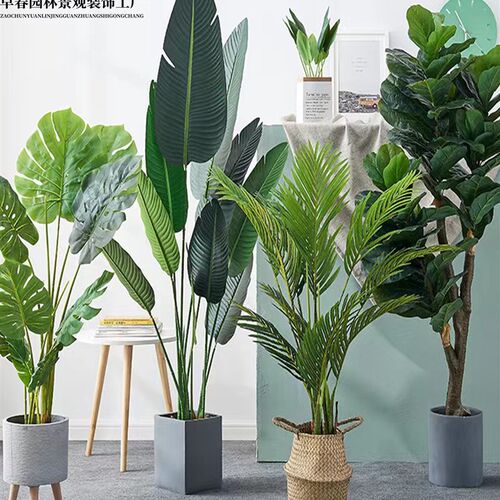 大型北欧仿真植物旅人蕉网红绿植盆栽室内外橱窗客厅摆放装饰造景