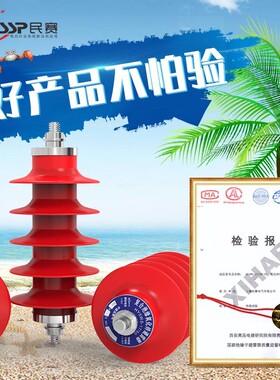 民赛HY5WS-17/50配电型高压户外氧化锌避雷器保护防雷器10-12KV