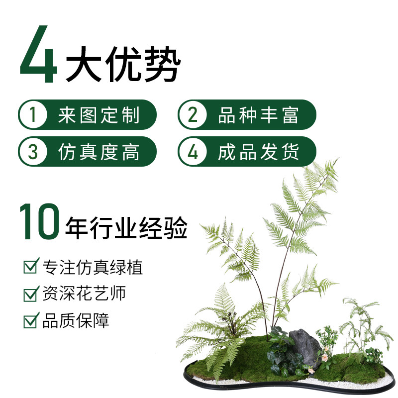 仿真绿植造景室内蕨类植物堆景组合楼梯下橱窗花槽假苔藓景观装饰