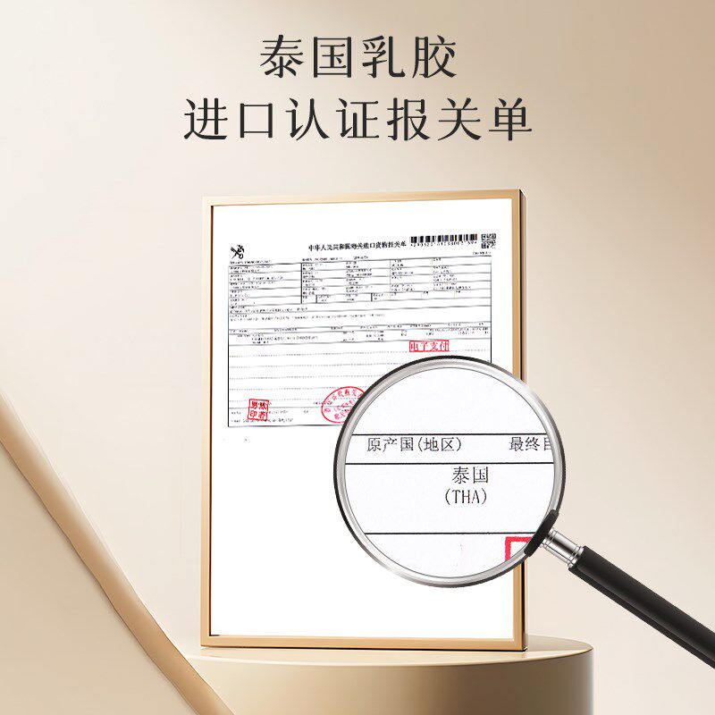 乳胶胸垫插片替换薄款美背泳衣运动内衣小胸聚拢显大胸罩文胸垫片