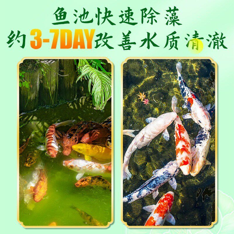 鱼池除藻去苔剂不伤鱼虾鱼缸鱼塘去绿水绿藻青苔净浮萍清除剂Z
