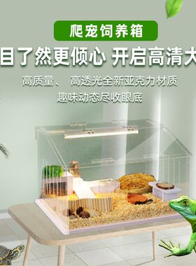 爬宠饲养箱蜥蜴守宫生态养殖箱PVC陆龟蜘蛛造景箱角蛙居寄蟹鬃狮
