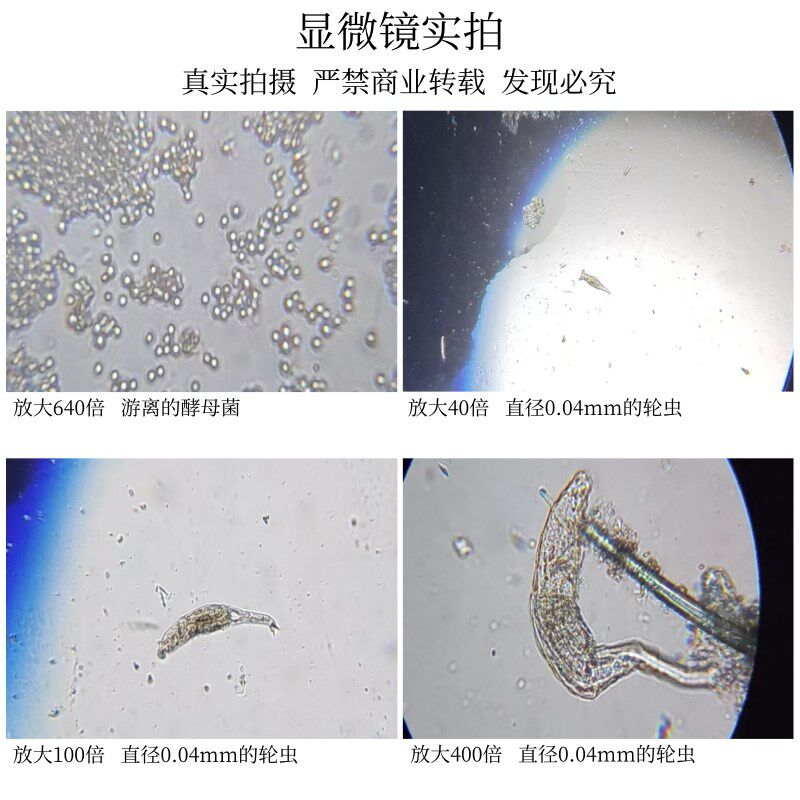 儿童小初高中考学生物显微镜专业看细菌金属教科书连手机光学高倍