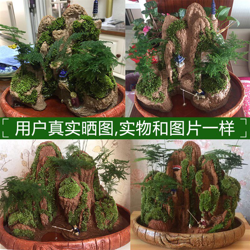 流水瀑布版吸水假山盆景石上水石摆件小型奇石原天然山水植物造景