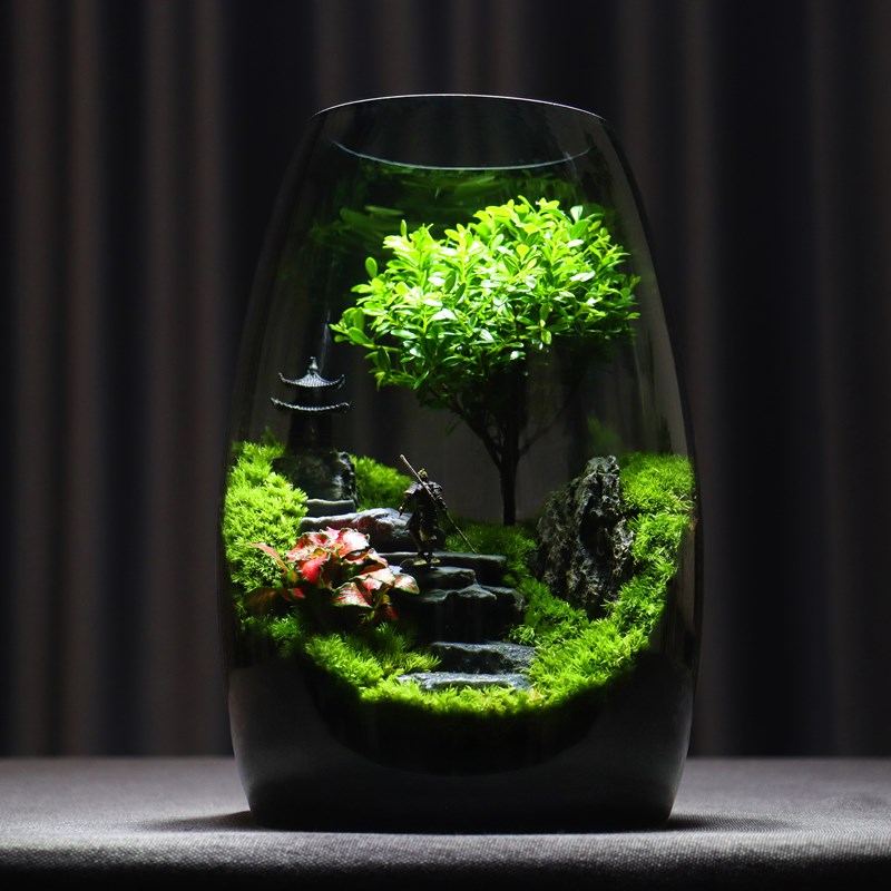 【成功之路】原创桌面苔藓微景观成品办公室生态瓶盆景生态缸摆件