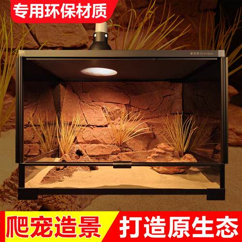 C60X45爬宠造景攀爬躲避生态饲养箱爬缸背景板蜥蜴守宫沙漠雨林缸