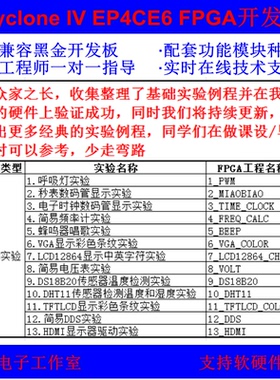 FPGA开发板EP4CE6F17C8学习板Cyclone IV评估板Altera核心板培训