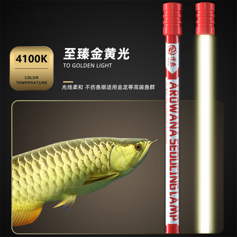 龙鱼专用发色灯诱色增色T5鱼缸原子灯nec金龙红龙鱼烤色灯潜水灯