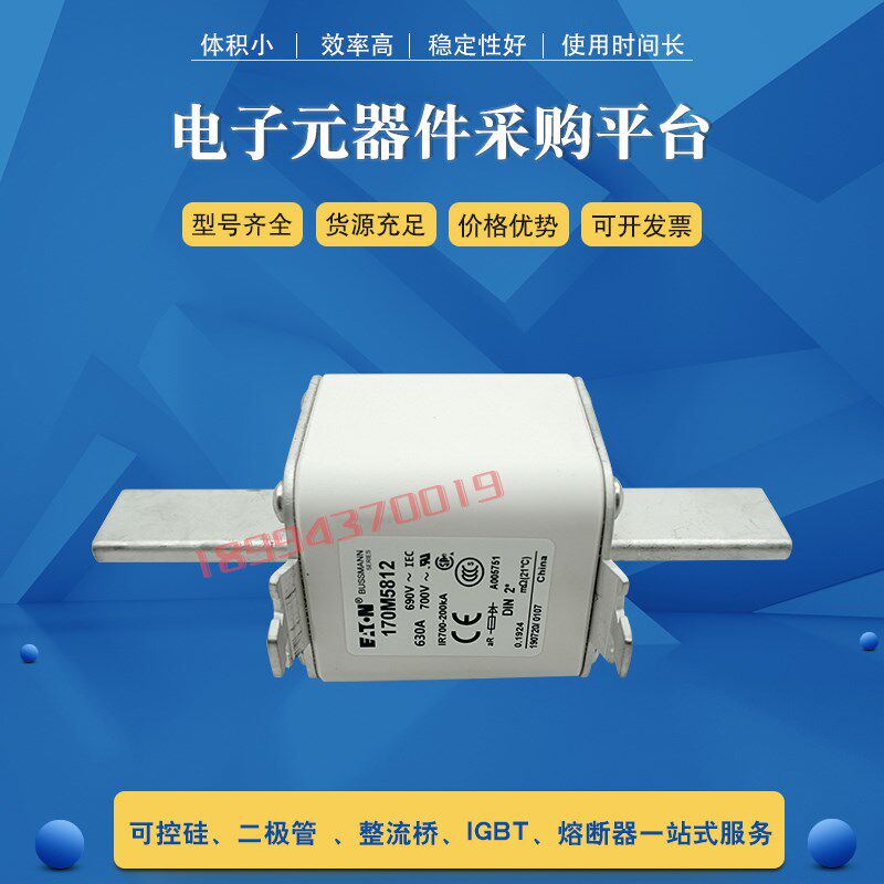 全新170M5810 170M5811 170M5812 170M5813快速熔断器保险丝