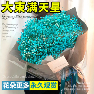 满天星干花花束鲜花新鲜真花客厅摆设花瓶高端永生花材料家用插花