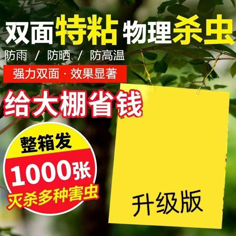双面粘虫板大棚果树瓜菜园黄板沾小黑飞防虫贴纸蓟马蓝板诱虫板