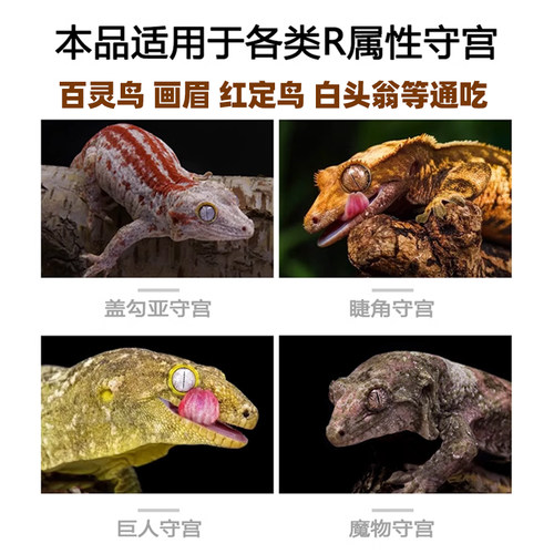 无菌地蜘蛛粉蟋蟀地栖画眉百灵红定鸟R属睫角守宫鬃狮乌龟食物粮