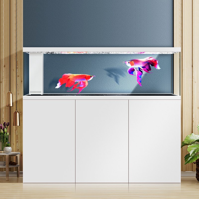 直角溢流生态鱼缸免换水办公室底滤水族箱2025新款专业级龙鱼缸