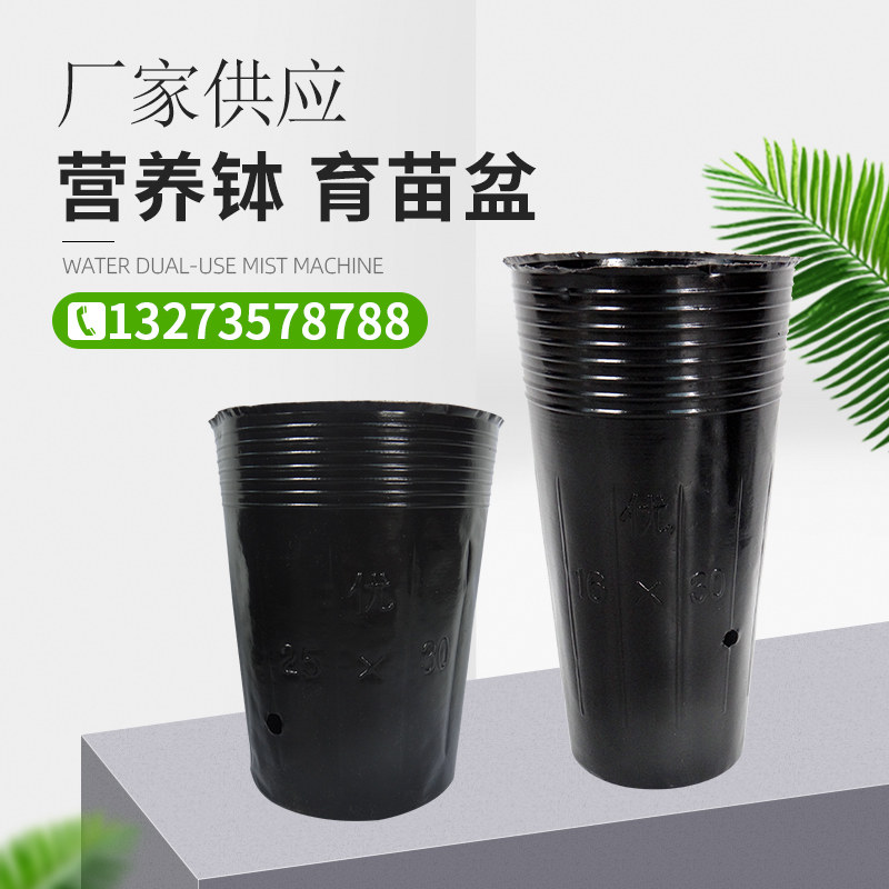 加厚一次性营养钵花卉育苗杯花盆农用大号育苗袋塑料黑色多肉花盆