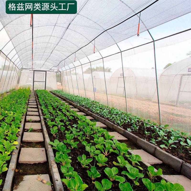 防虫网大棚专用果蔬养殖场防蚊网纱窗网防蚊纱网防虫纱网果树农用